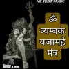 About ॐ त्र्यम्बकं यजामहे मंत्र Song